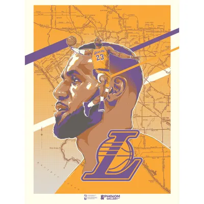 LeBron James Los Angeles Lakers Phenom Gallery Limited Edition 18'' x 24'' King James Serigraph Art Poster Print