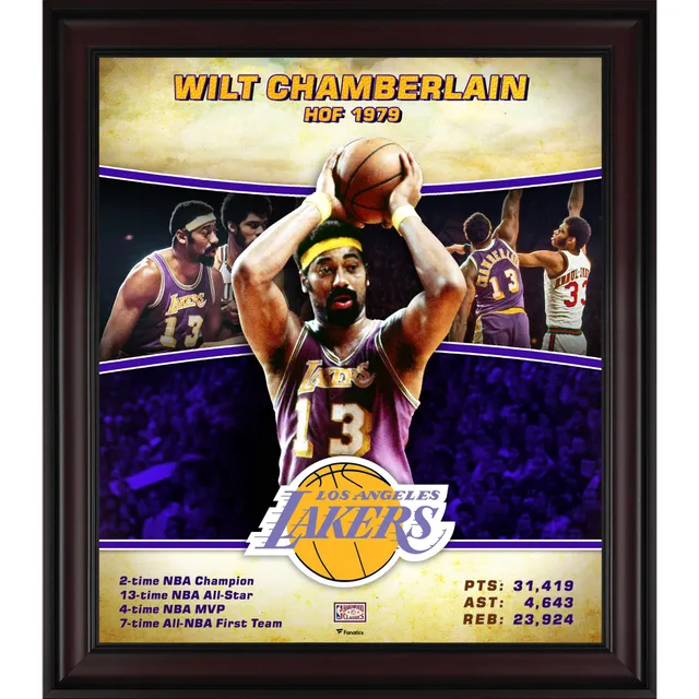 Lids Earvin Magic Johnson Los Angeles Lakers Fanatics Authentic Framed  15 x 17 Hardwood Classics Player Collage
