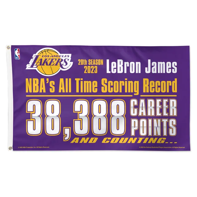 Men's Fanatics Branded LeBron James Purple Los Angeles Lakers NBA All-Time  Scoring Record Long Sleeve T-Shirt