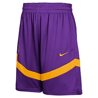 Youth Nike Purple Los Angeles Lakers Practice Mesh Shorts