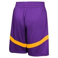 Youth Nike Purple Los Angeles Lakers Practice Mesh Shorts