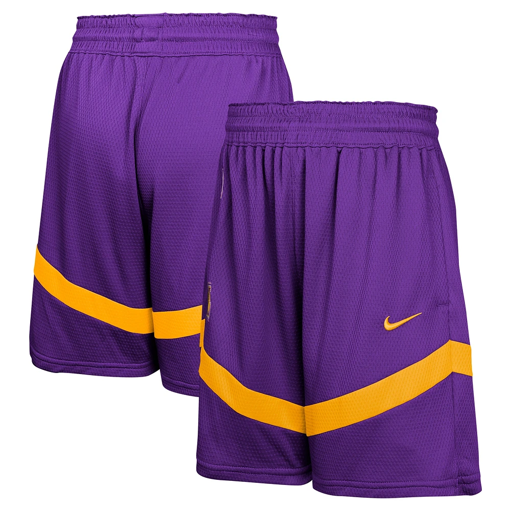 Youth Nike Purple Los Angeles Lakers Practice Mesh Shorts