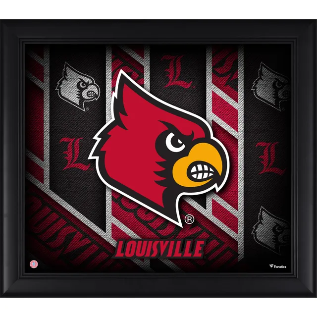 Lids St. Louis Cardinals Fanatics Authentic Framed Logo Jersey