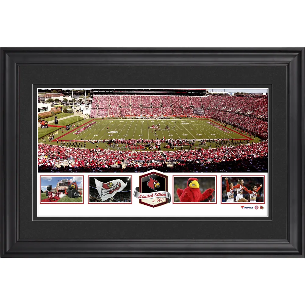 St. Louis Cardinals Fanatics Authentic Framed 10 x 18 Stadium Panoramic  Collage with a Piece of Game-Used Baseball - Limited Edition of 500