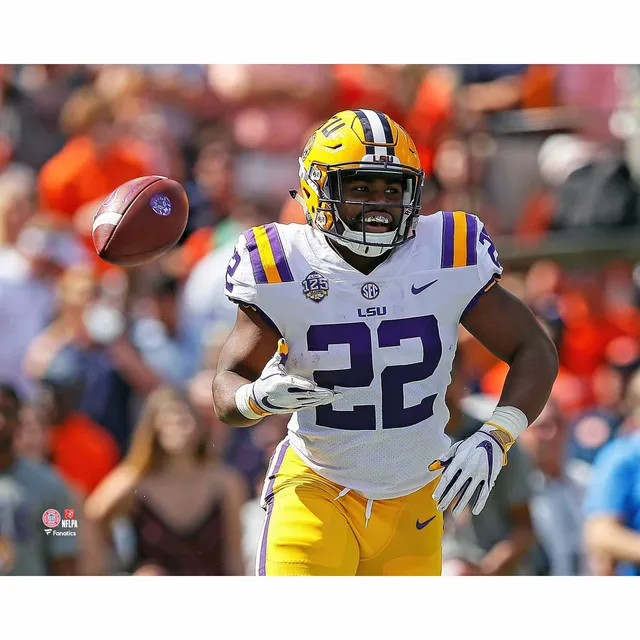 Leonard Fournette LSU Tigers Unsigned Purple Jersey Celebrating After  Touchdown Photograph