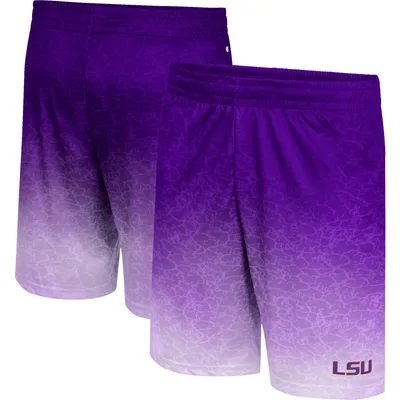 LSU Tigers Colosseum Walter Shorts - Purple