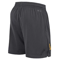 Short Nike Anthracite LSU Tigers 2024 Sideline Performance Mesh pour homme