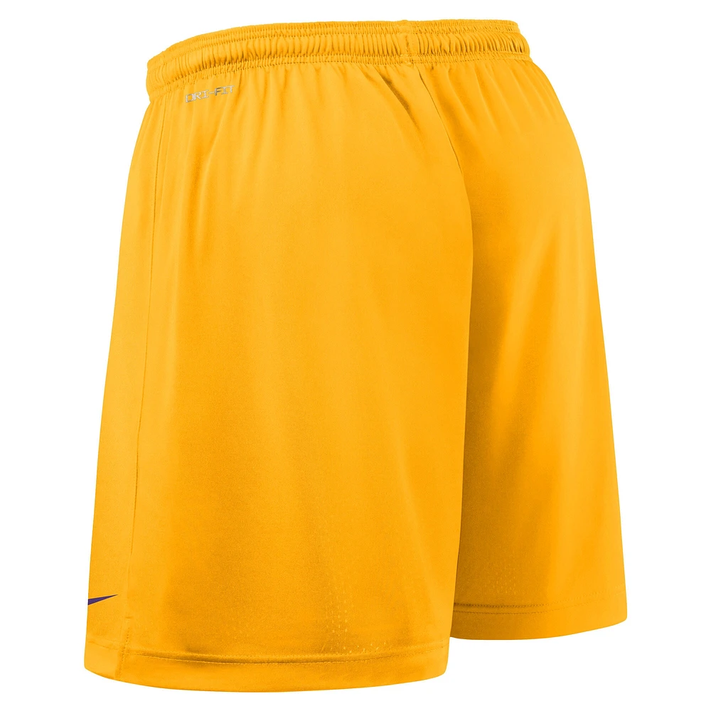 Men's Nike Purple/Gold LSU Tigers 2025 Sideline Reversible Performance Shorts