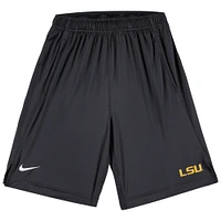 Youth Nike  Anthracite LSU Tigers Fly Performance Shorts