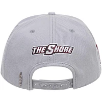 Men's Pro Standard Gray Maryland Eastern Shore Hawks Mascot Logo Snapback Hat