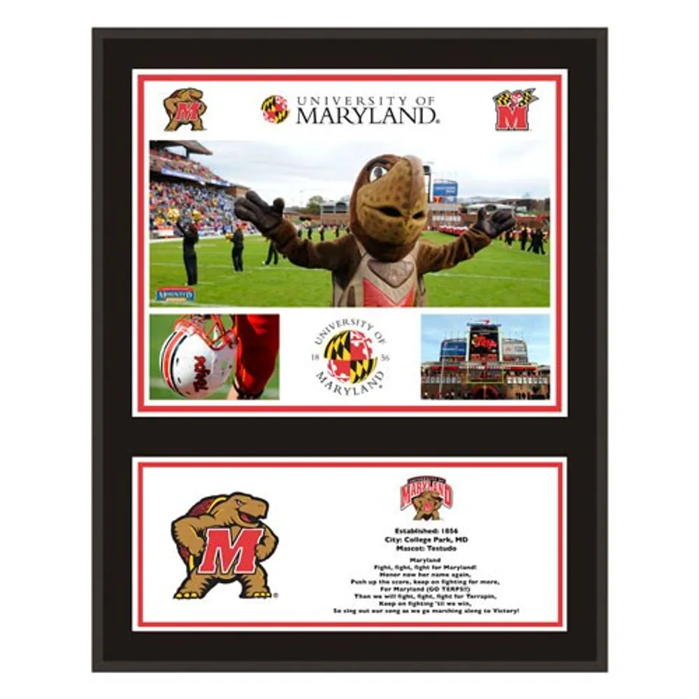 Toronto FC 12 x 15 Team Logo Sublimated Plaque