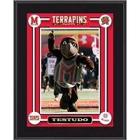Maryland Terrapins Testudo Mascot 10.5'' x 13'' Sublimated Plaque