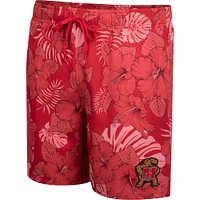 Men's Colosseum Red Maryland Terrapins The Dude Swim Shorts