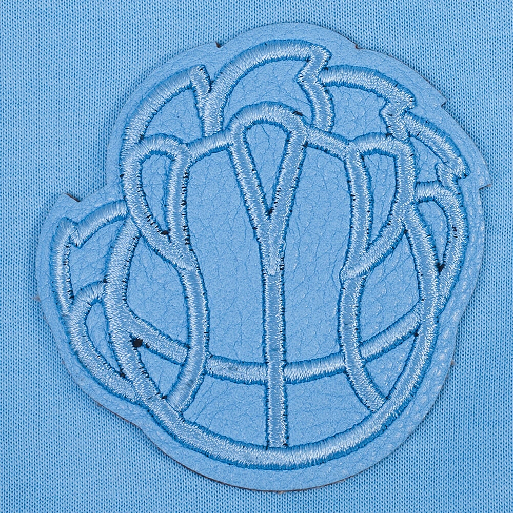 Sweat à capuche entièrement zippé triple ton sur Pro Standard pour femmes, bleu clair, Memphis Grizzlies