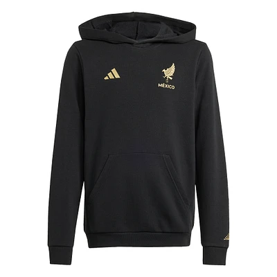 Sweat à capuche DNA noir pour jeunes adidas Mexico National Team 2025 Third Jersey