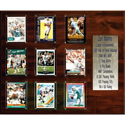 Dan Marino Miami Dolphins Impact Jersey Frame