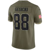 Nike Men's Nike Mike Gesicki Olive Miami Dolphins 2022 Salute To Service Limited  Jersey