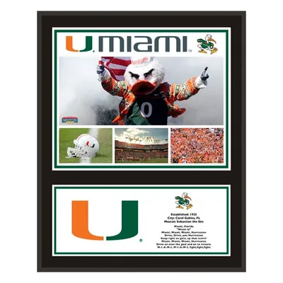 Miami Hurricanes Fanatics Authentic 12" x 15" Sublimated Team Plaque