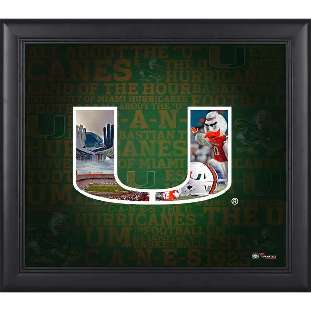 Ed Reed Miami Hurricanes Framed 15 x 17 Player Core Collage