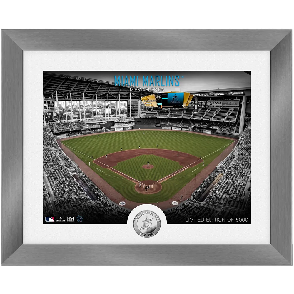 Miami Marlins Marlins Park 8 x 10 Framed Baseball Stadium Photo