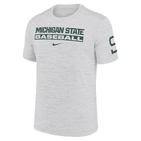 Men's Nike Ash Michigan State Spartans Velocity Baseball Wordmark Stack Performance T-Shirt