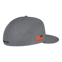 Casquette ajustée Nike Michigan State Spartans USA Side Patch True AeroBill Performance pour hommes, gris