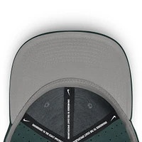 Men's Nike Green Michigan State Spartans On-Field Dugout True Performance Fitted Hat