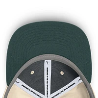 Men's Nike Natural Michigan State Spartans Primetime True Performance Fitted Hat