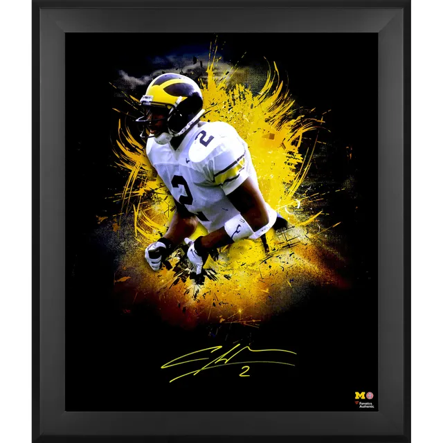 Chris Carson Seattle Seahawks Fanatics Authentic Framed Autographed 20 x 24 Skyline Series in Focus Photograph