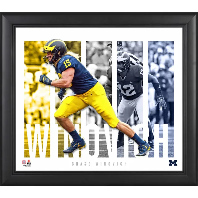 Devin Bush Michigan Wolverines Framed 15 x 17 Player Collage