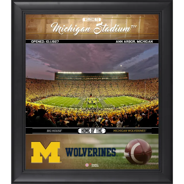 Charles Woodson Michigan Wolverines Framed 5-Photograph Collage