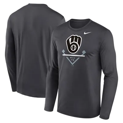 Men's Nike Anthracite Houston Astros Icon Legend Performance Long Sleeve T-Shirt