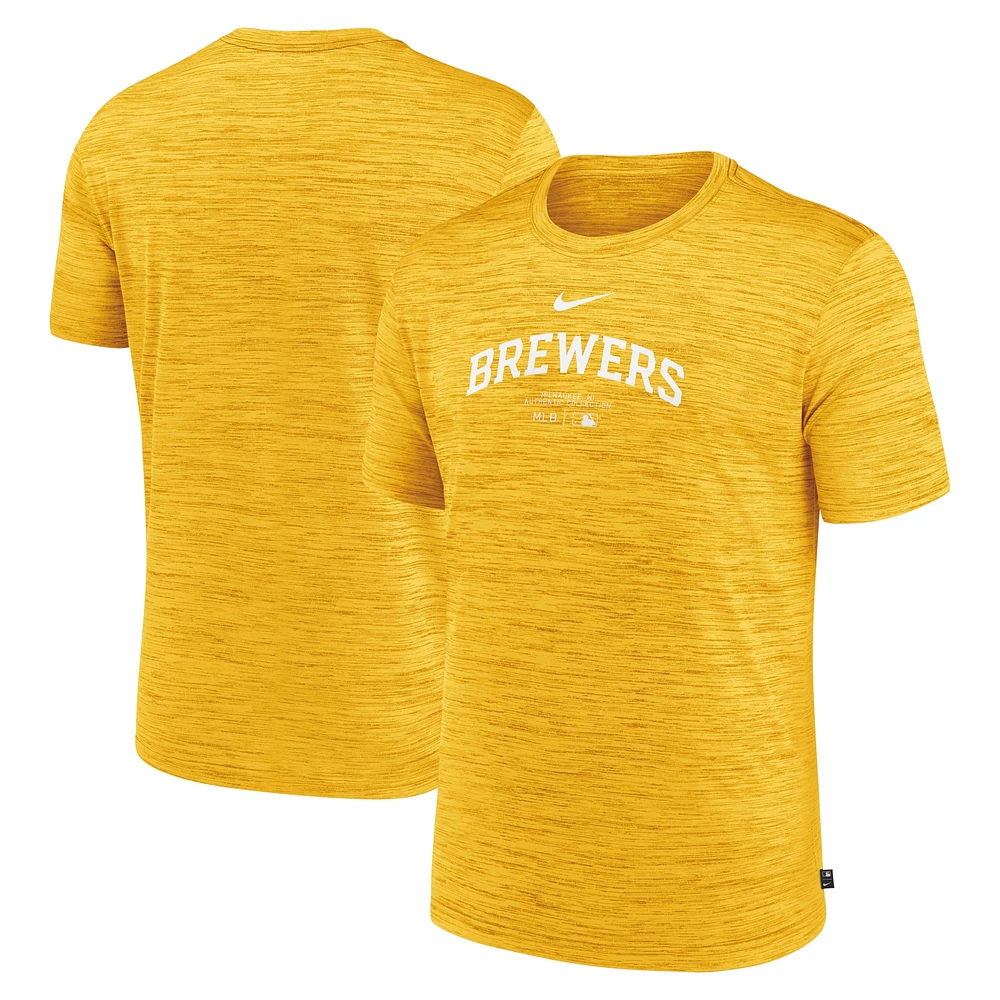 T-shirt d'entraînement Nike Gold Milwaukee Brewers Authentic Collection Velocity Performance pour homme