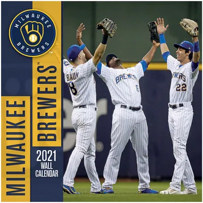 Milwaukee Brewers 24 x 34.75 Magnetic Framed Team Poster