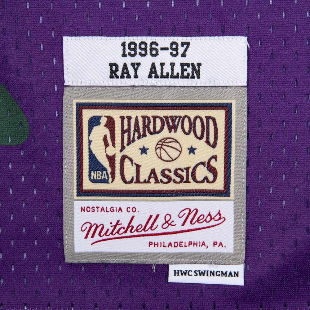 Women's Mitchell & Ness Hardwood Classics Ray Allen Milwaukee Bucks Swingman Jersey / Large