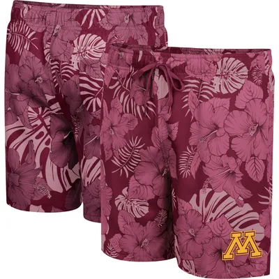 Minnesota Golden Gophers Colosseum The Dude Swim Shorts - Maroon