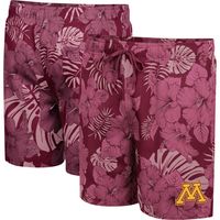 Men's Colosseum Maroon Minnesota Golden Gophers The Dude Swim Shorts