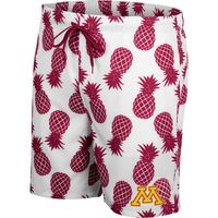 Men's Colosseum White/Maroon Minnesota Golden Gophers Pineapple Swim Shorts