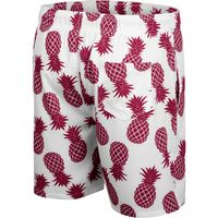 Men's Colosseum White/Maroon Minnesota Golden Gophers Pineapple Swim Shorts