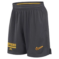 Short Nike Anthracite Minnesota Golden Gophers 2024 Sideline Mesh pour homme