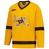 Unisex Gold Minnesota Golden Gophers 25th Anniversary Women's Hockey Team Jersey
