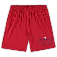 Men's Concepts Sport Navy/Red Minnesota Twins Big & Tall T-Shirt Shorts Sleep Set