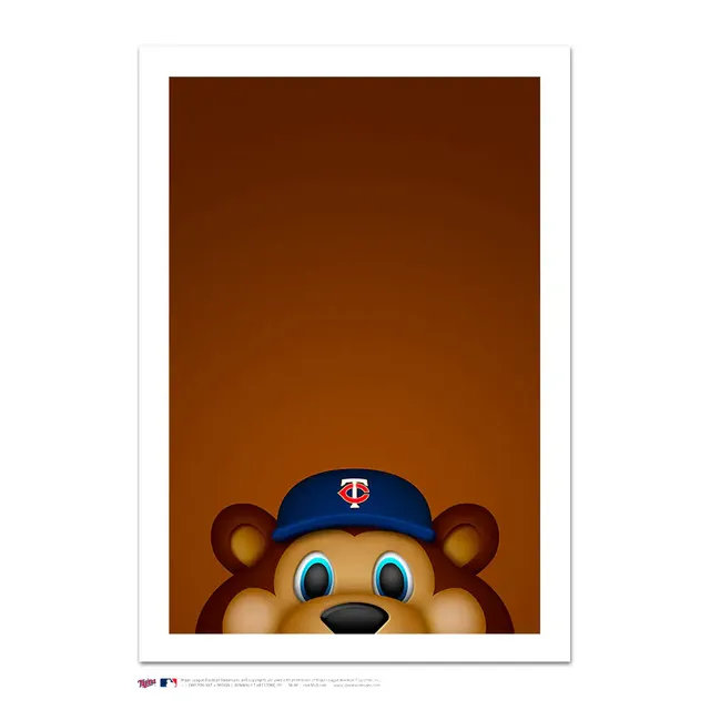 Minnesota Twins Team Mascot Pillow