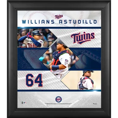 Lids Minnesota Twins Fanatics Authentic Framed Logo Jersey Display