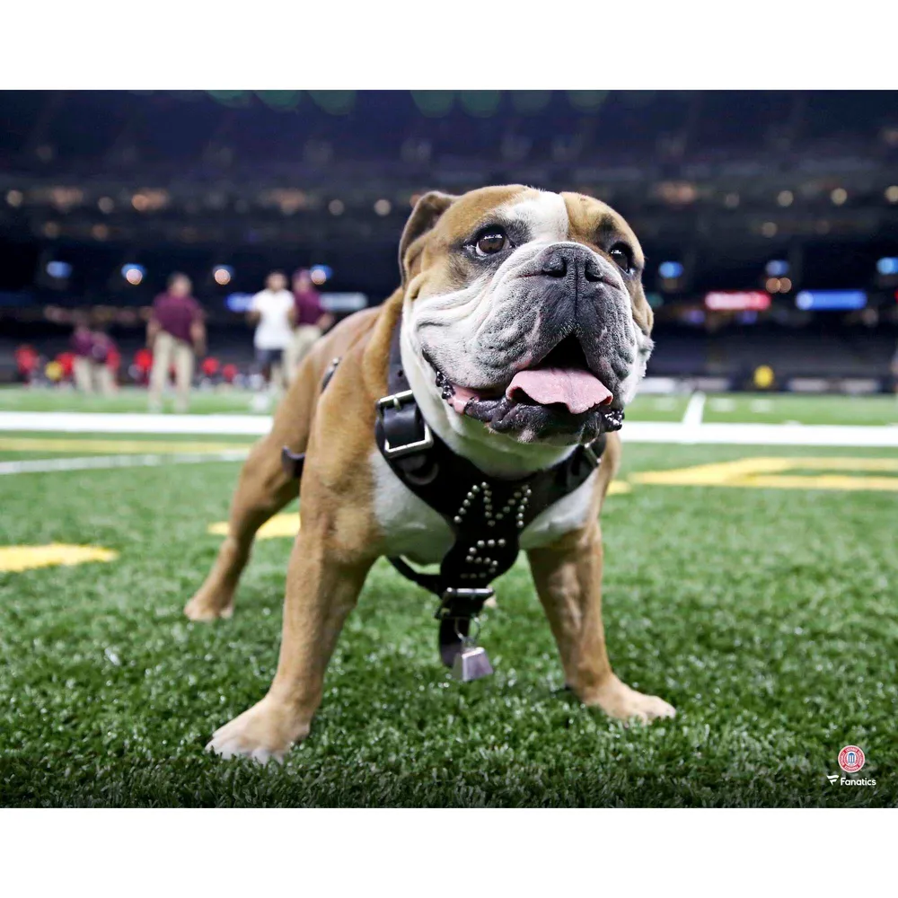 Oklahoma State Cowboys Unsigned Pistol Pete Pre-Game Photograph