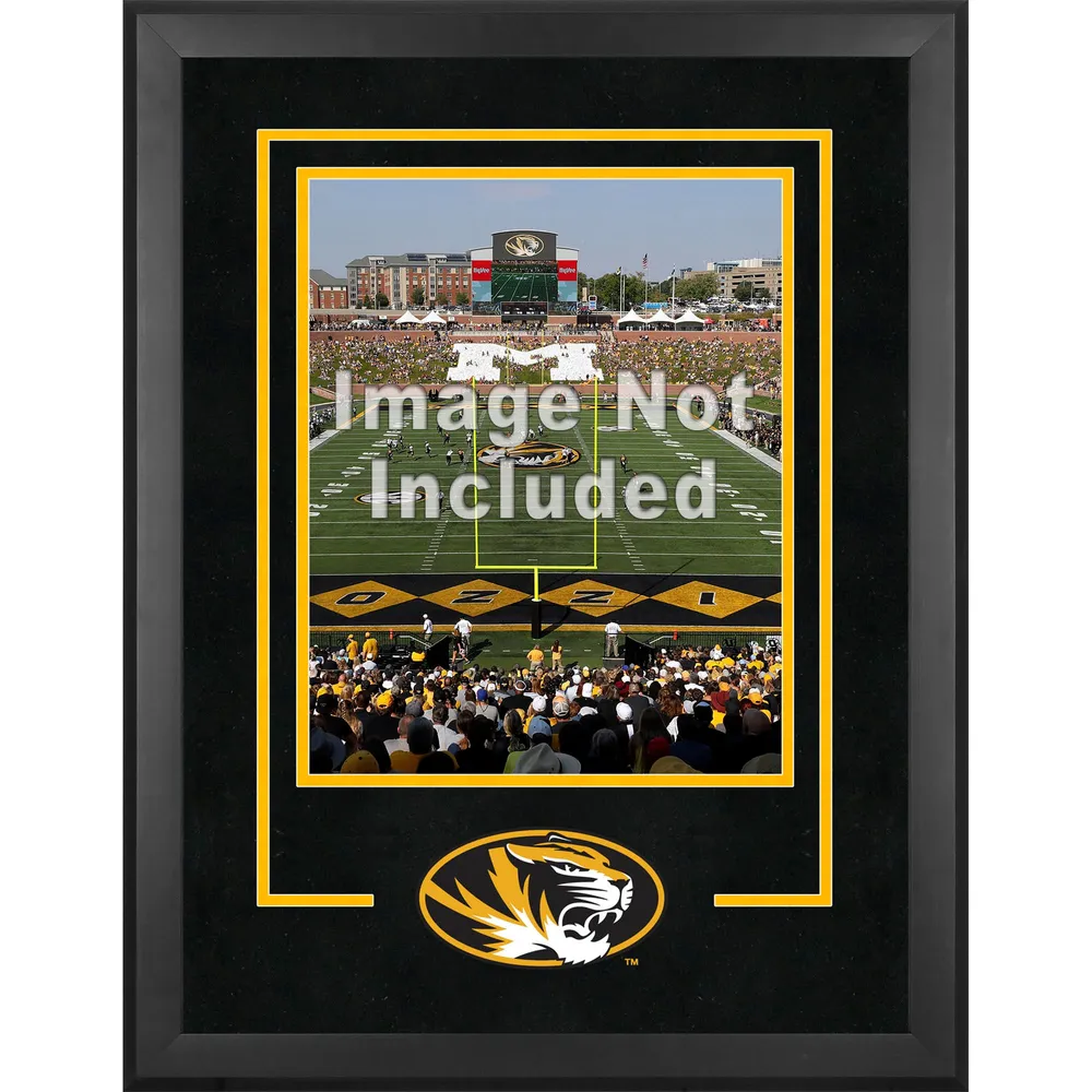 LSU Tigers Team Logo 16x20 Print