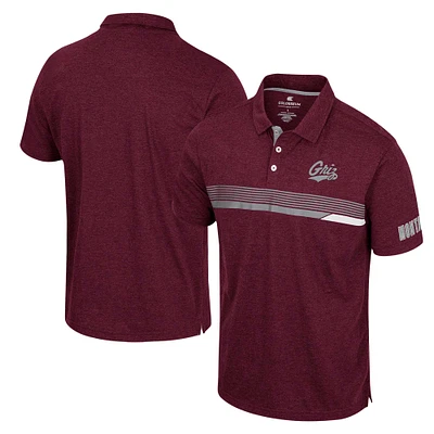 Colosseum Montana Grizzlies No Problemo Polo pour homme, marron