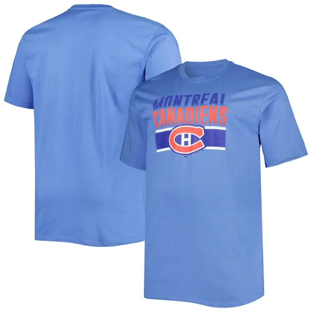 Quebec Nordiques Fanatics Distressed Vintage Tri-Blend Mens Shirt