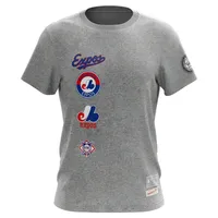 Men's Mitchell & Ness  Gray Montreal Expos City Collection T-Shirt