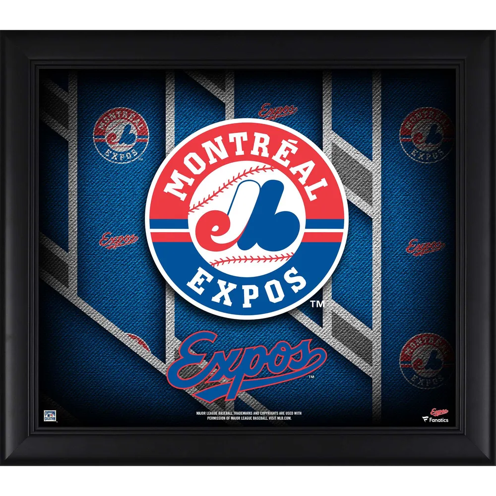 Lids Montreal Expos Fanatics Authentic Framed 15 x 17 Team Threads  Collage